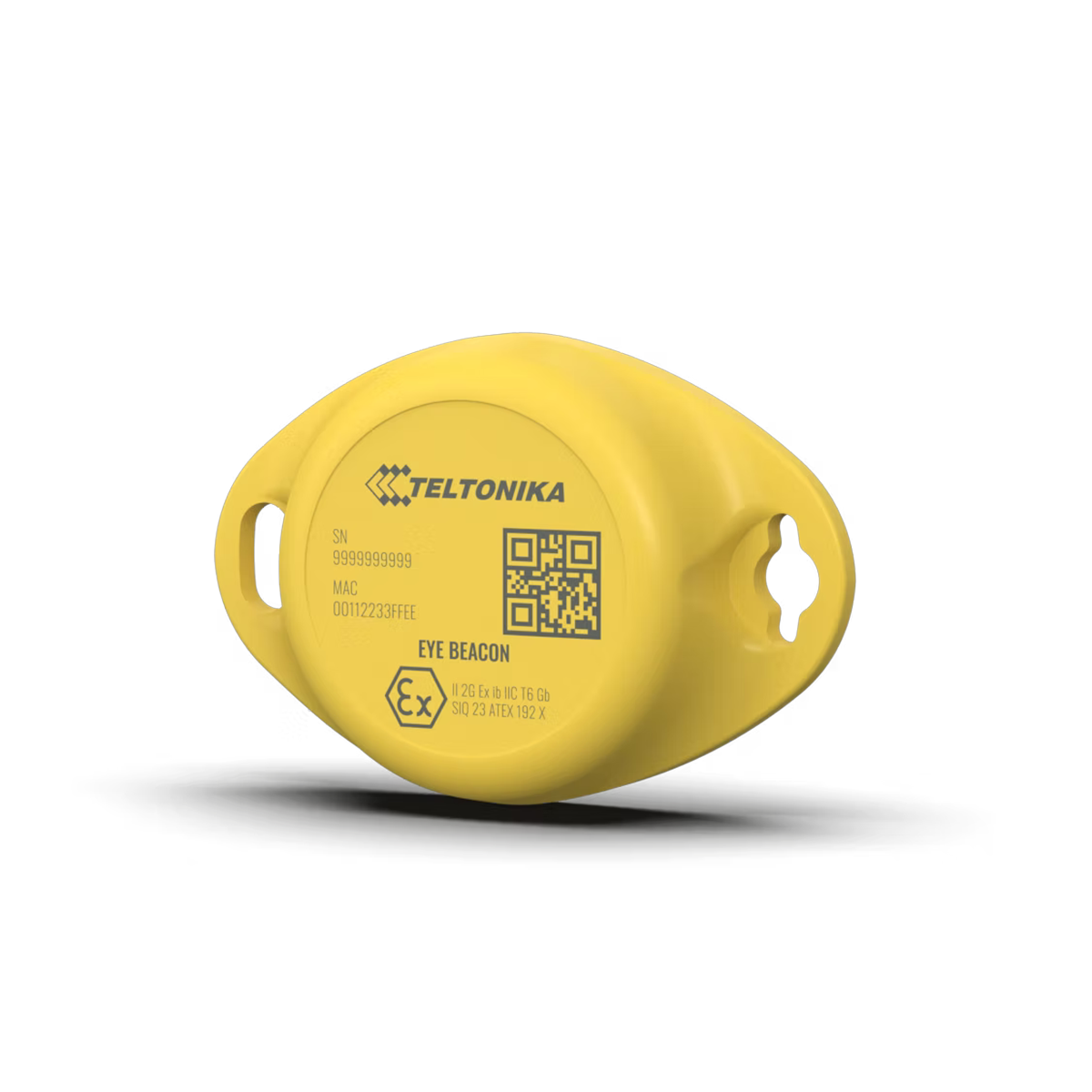 TELTONIKA ATEX EYE SENSOR